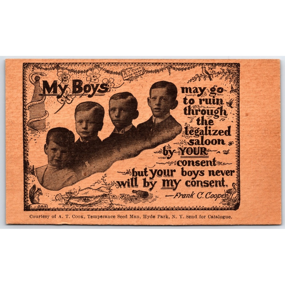 Antique Temperance Movement Postcard My Boys Frank C Cooper AT Cook Hyde Park NY